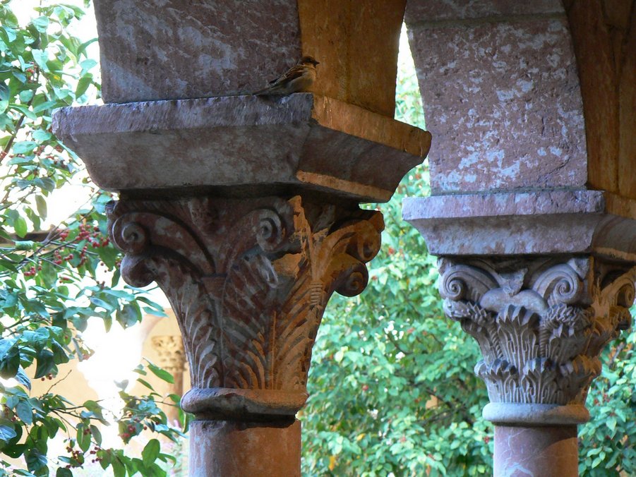 The Cloisters: The Cloisters  006